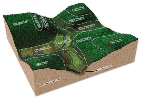 soil block diagram